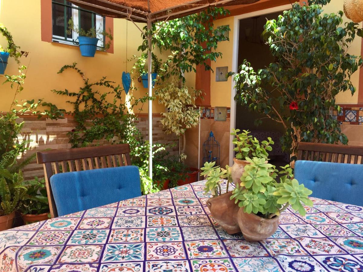 Cool Garden And Suite Mairena del Aljarafe Kültér fotó