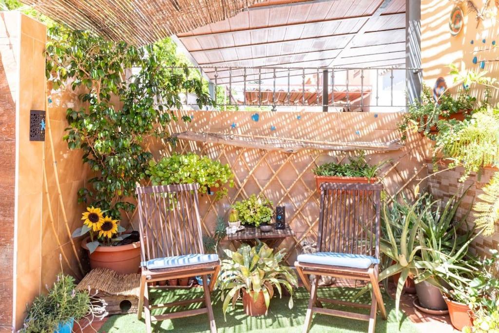 Cool Garden And Suite Mairena del Aljarafe Kültér fotó